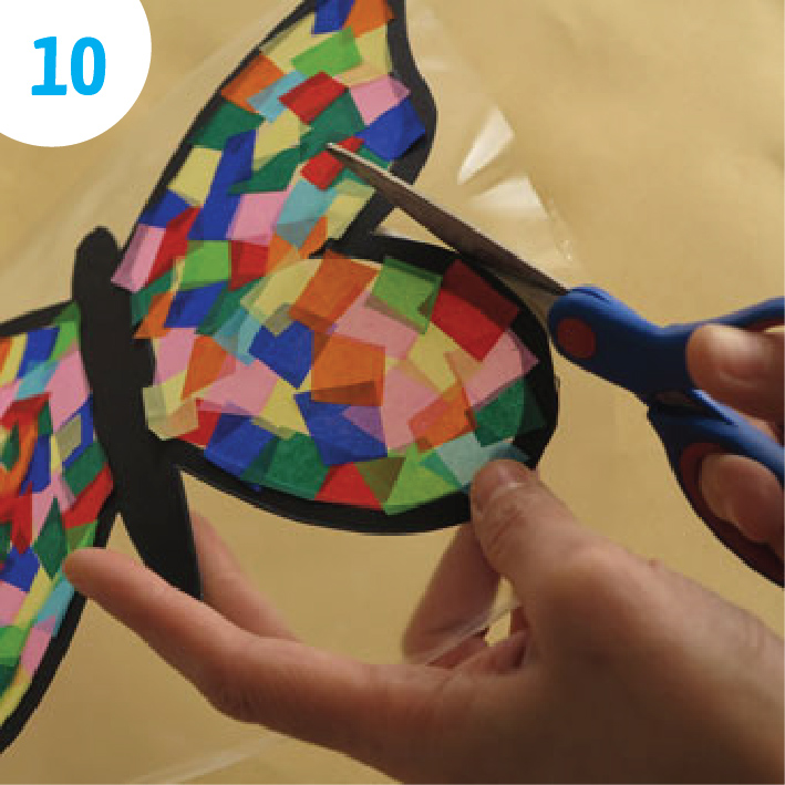 borboleta 10 | Auchan&Eu