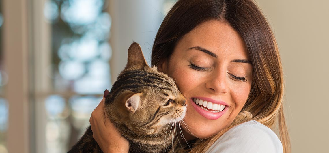 Devo separar o animal recém-chegado?