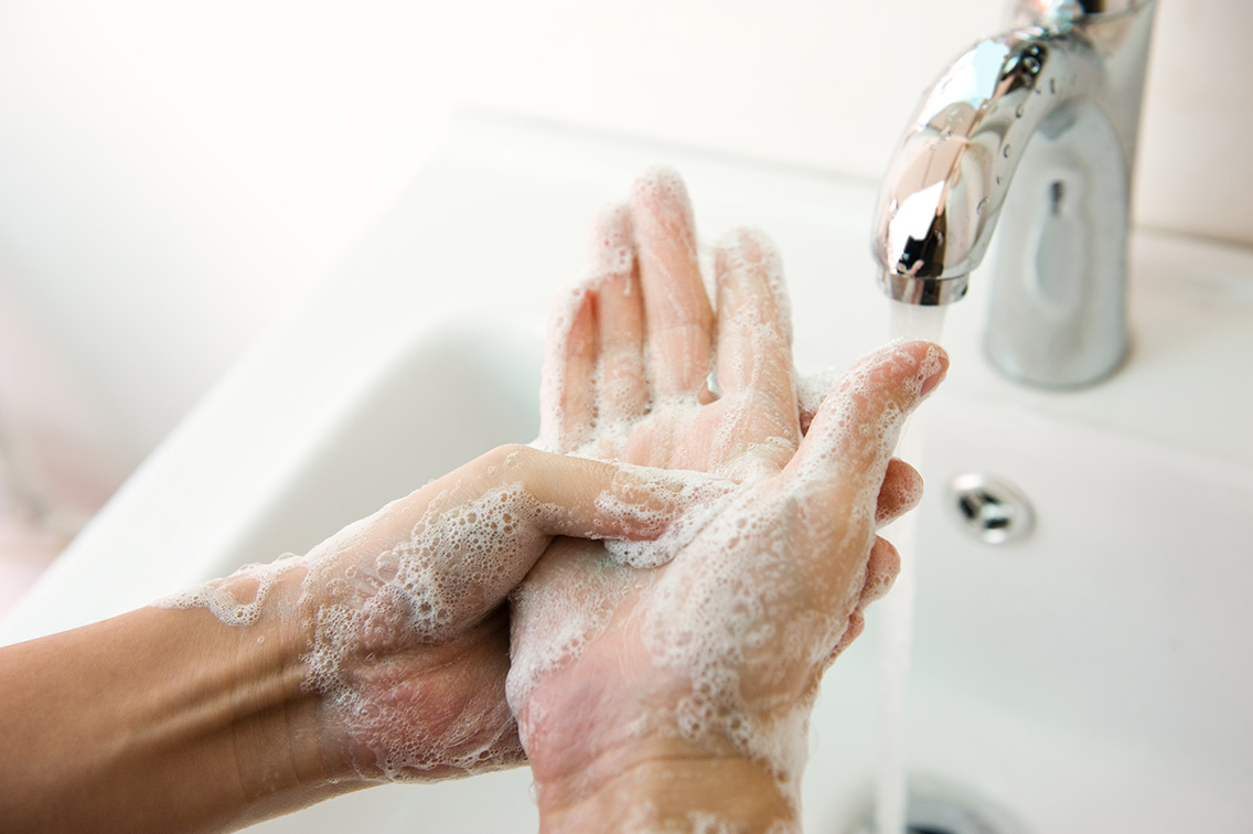 Como prevenir a Equinococose