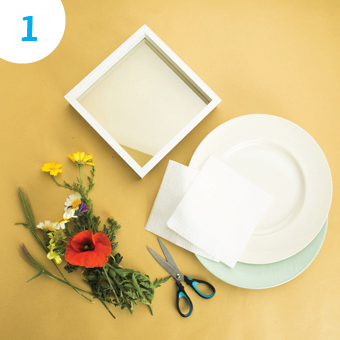 Quadro Flores dia da Mãe - passo 01 | Crianças - Auchan&eu Quadro Flores dia da Mãe - passo 01