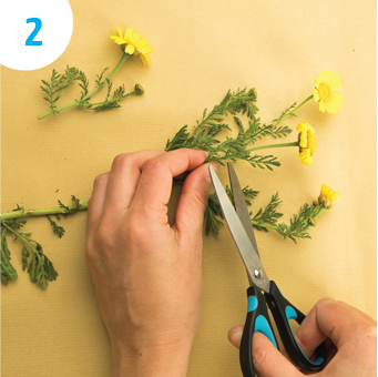Quadro Flores dia da Mãe - passo 02 | Crianças - Auchan&eu Quadro Flores dia da Mãe - passo 02