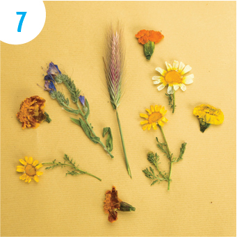 Quadro Flores dia da Mãe - passo 07 | Crianças - Auchan&eu Quadro Flores dia da Mãe - passo 07