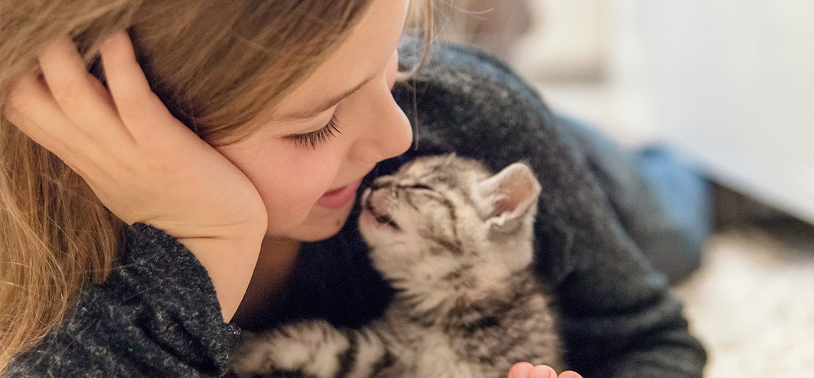 AE PET gato beijinhos | Auchan&Eu