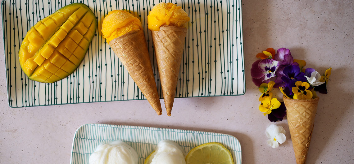 AE FL sorbet web | Auchan&Eu