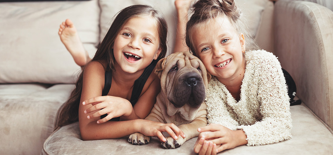 AE PET aimais e autoestima web | Auchan&Eu