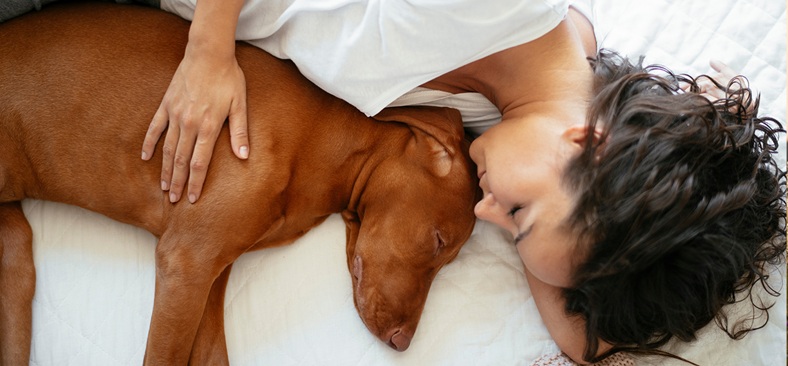 AE PET caes sonham web | Auchan&Eu