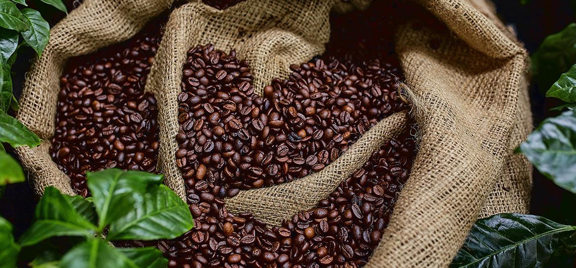 AE FL cafe capsulas | Auchan&Eu