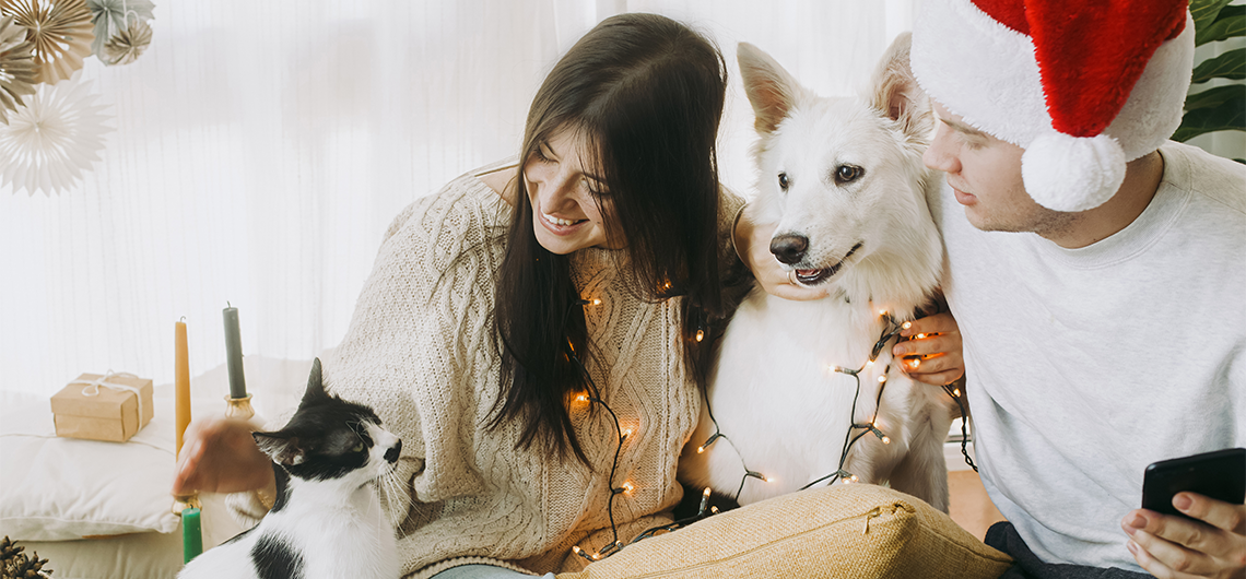 AE pet diminuir ansiedade períodos de festa | Auchan&Eu