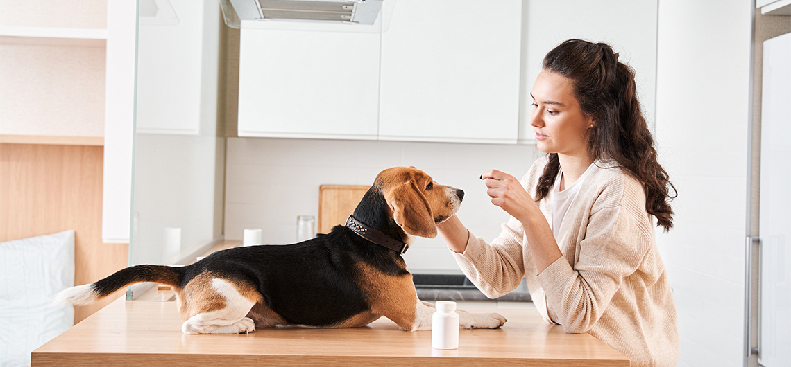 ae pet vitaminas | Auchan&Eu