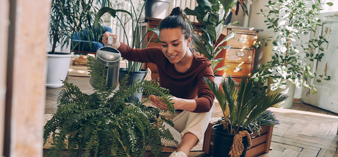 ae casa cuidar das plantas | Auchan&Eu