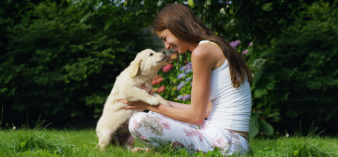ae pet jardim pet Friendly | Auchan&Eu