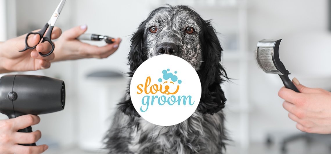 ae pet slow groom | Auchan&Eu