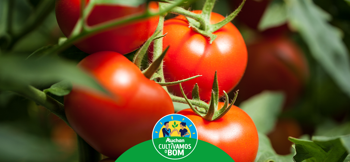 ae cultivamos o bom artig gene web | Auchan&Eu