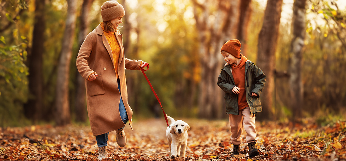 ae pet passeios outono | Auchan&Eu