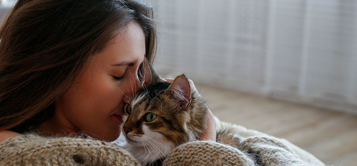 ae pet vinculo gatos | Auchan&Eu