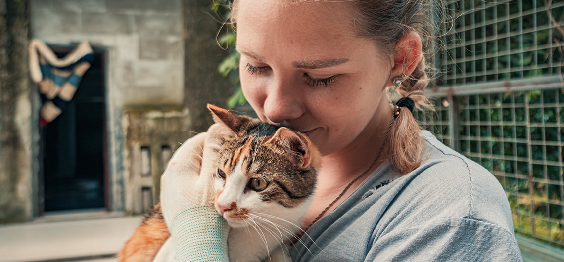 ae pet gato adocao responsavel web | Auchan&Eu
