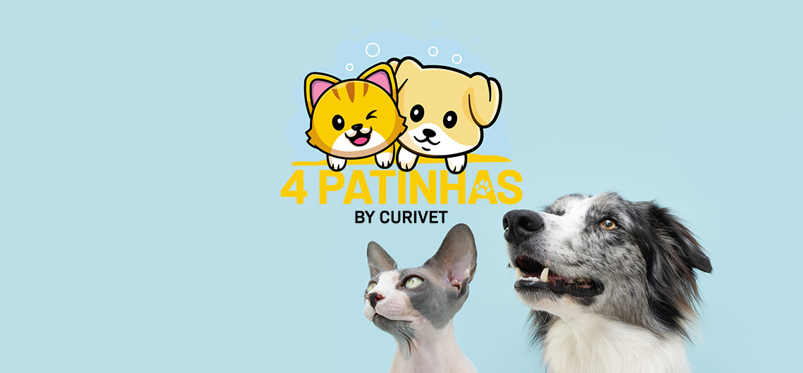 ae pet parceiro 4patinhas | Auchan&Eu