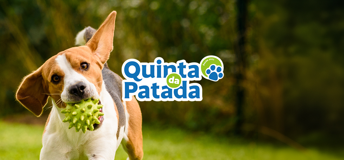 ae parceiro quinta patada web | Auchan&Eu