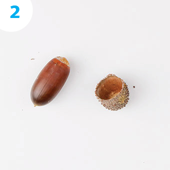 colarBolota 03 | Auchan&Eu