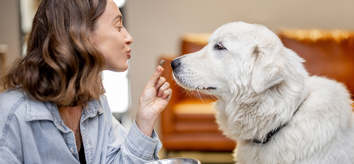 ae pet alimentos doencas web | Auchan&Eu