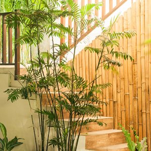 ae casa peq espaco zen 0002 AdobeStock 169174255 | Auchan&Eu