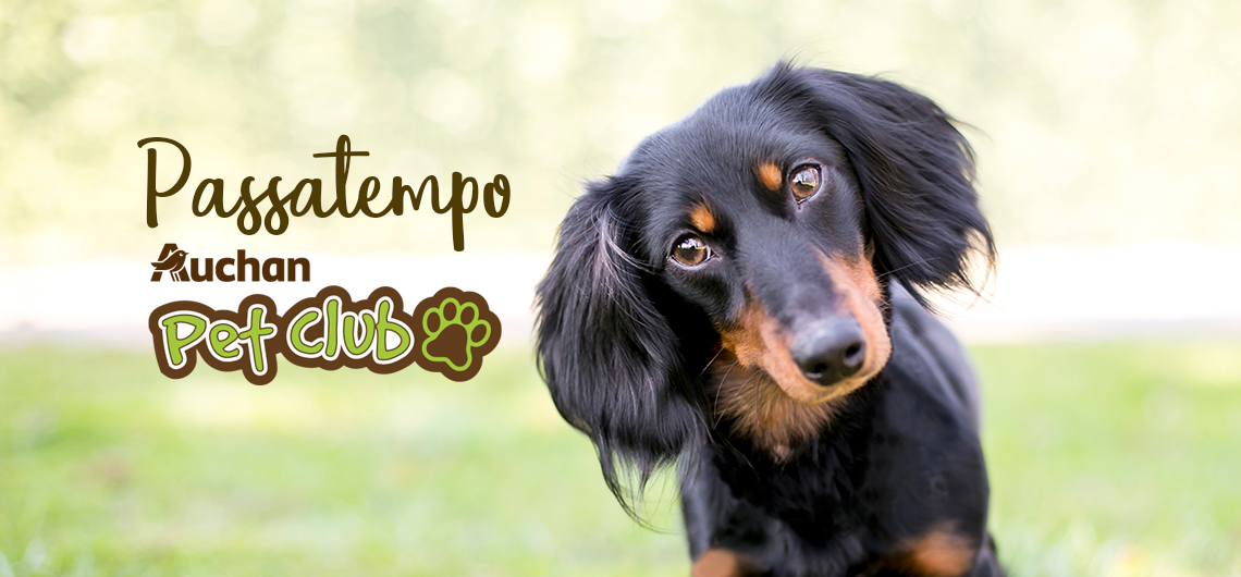 ae passatempo petclub | Auchan&Eu